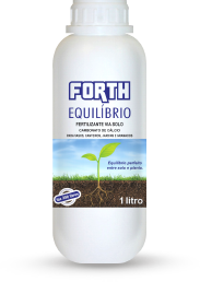 Forth Equilíbrio