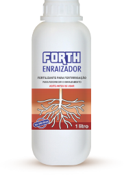Forth Enraizador