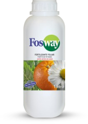 Fosway